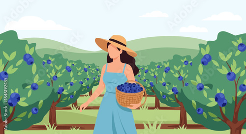 Woman harvesting blueberries in a field illustration with natural beauty and serene setting