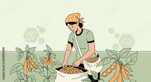 Woman harvesting soybeans in field with bag full of crop in agriculture line art