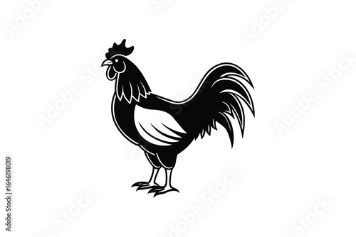 Black and white illustration of a rooster standing proudly isolated on white silhouette