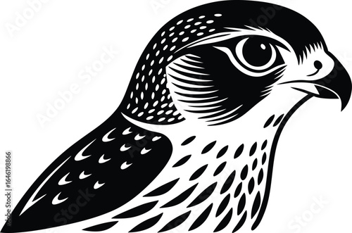 Stylized black and white peregrine falcon head illustration