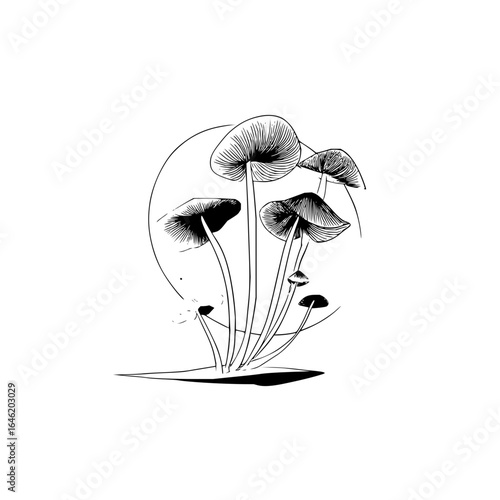 Illustration depicting a cluster of mushrooms with detailed caps and stems against a circular backdrop
