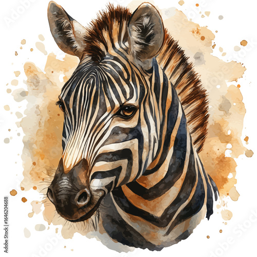 Zebra, watercolor vector, isolated on a white background.