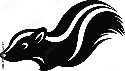 Stylized black and white skunk illustration