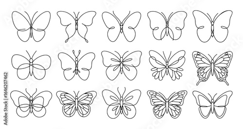 Elegant butterfly outlines collection vector shape