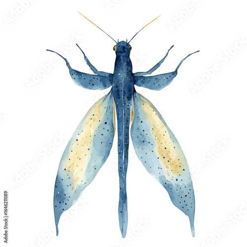 watercolor vector of Water Strider, isolated on a white background.