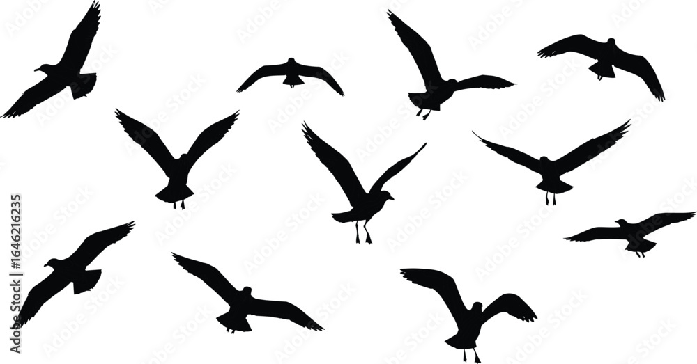 Naklejka premium Flying Bird Silhouettes in Various Poses, Black Vector Illustration for Nature, Wildlife, and Graphic Design
