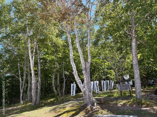 小樽市内の天狗山