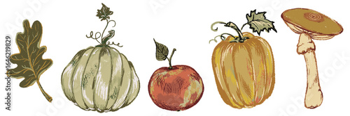 Chalk textured autumn set. Vintage aesthetic harvest crayon pumpkins, mushroom, apple, oak leaf. Hand drawn pencil cartoon sketch fruit, vegetable. Cottagecore fall color vector illustration isolated