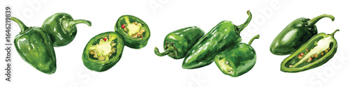 Set watercolor whole slice chopped hot green jalapeno peppers chilli isolated on transparent background