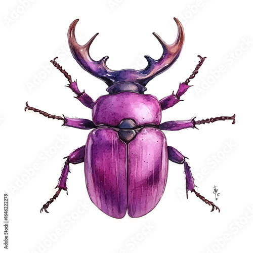 watercolor of Stag Beetle, vector, isolated on a white background.