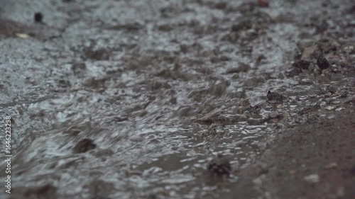 Small stream flowing on dirt road