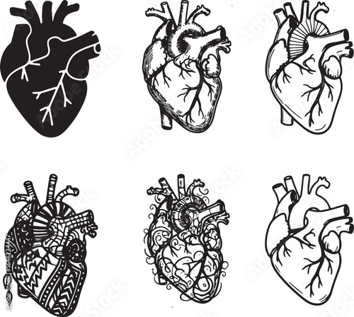 human heart anatomy, Artistic Human Heart Vector Set in Different Styles
