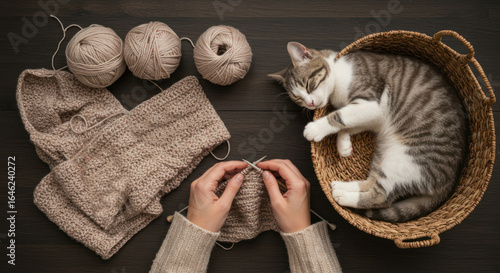 Overhead shot of woman knitting while a cat naps in basket, yarn and knitting tools nearby.