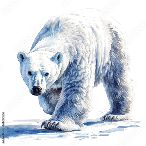 watercolor vector of Polar Bear, isolated on a white background.