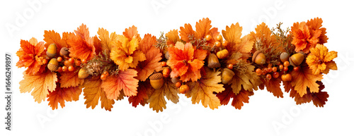 Autumn Leaves and Acorns Garland for Seasonal Decor and Fall Inspiration on transparent background. Halloween or Thanksgiving decor