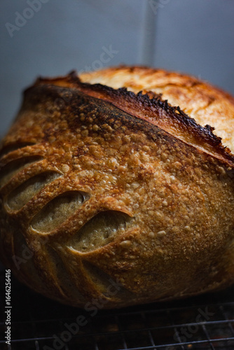 Sourdough bread art wheat draw