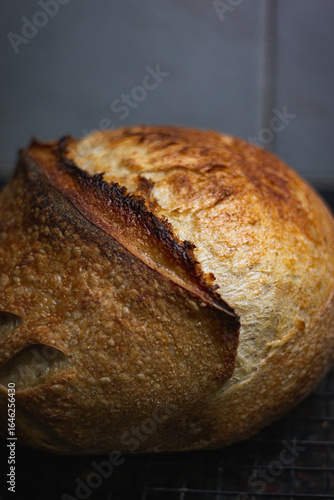 Sourdough bread details art wheat draw