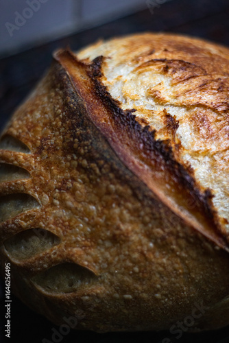Sourdough bread details art wheat draw contrast tones