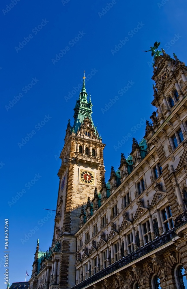 Fototapeta premium Hamburg City Hall
