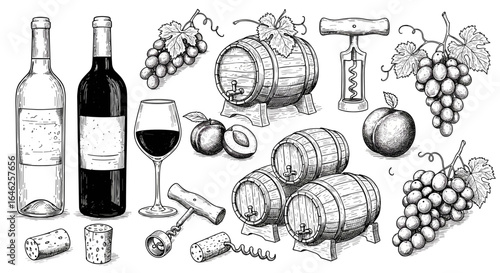 Vintage ink sketch collection of wine-themed items — wine bottles, wine glass, oak barrels, grape clusters with leaves, plums, corks, corkscrews, hand-drawn doodle sketch vector illustration on white 