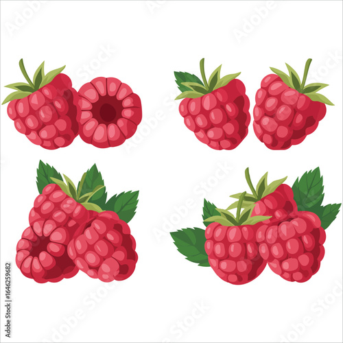 Fresh berries collection vector graphic white background