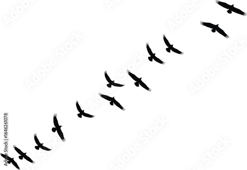 Flat Vector Illustration of a Flock of Birds Flying in a V-Formation, Silhouette Against a White Background, Must-Have Adobe Stock Asset