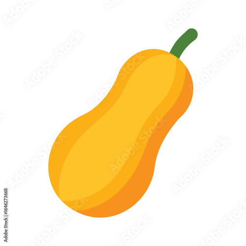 vector illustration of a butternut squash