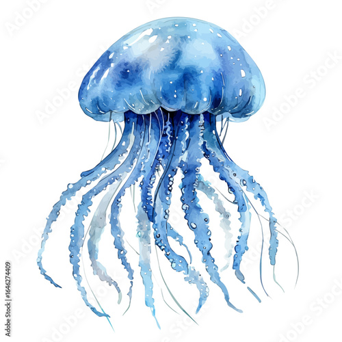 Jellyfish, watercolor vector, isolated on a white background.