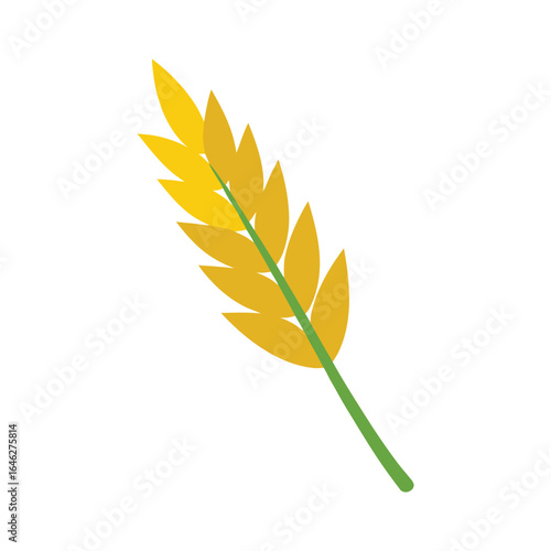 wheat stalk isolated on white background