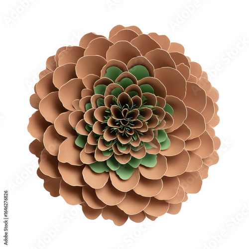 Green and brown succulent rosette, layered leaves, 3D render — white isolated background