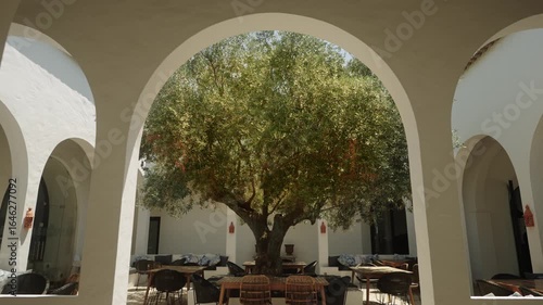 Mediterranean courtyard with olive tree framed by white arches