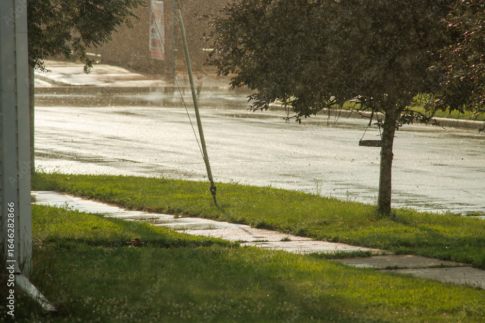 custom made wallpaper toronto digitalSummer rain in the small town