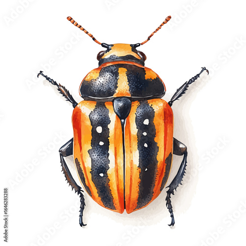 Goliath Beetle, watercolor painting vector, isolated on a white background.