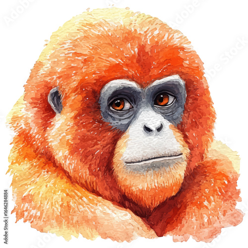 Gibbon, watercolor vector, isolated on a white background.