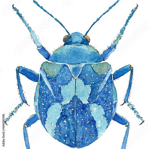 Giant Water Bug, watercolor vector, isolated on a white background.