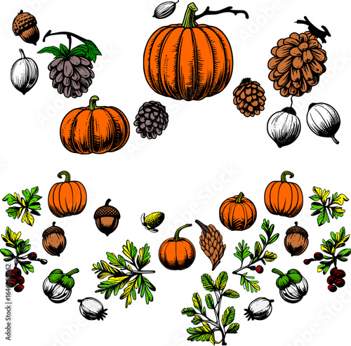 Autumn pumpkin and foliage vector collection featuring vibrant orange pumpkins, green leaves, acorns, pine cones, and seasonal berries in a hand-drawn style