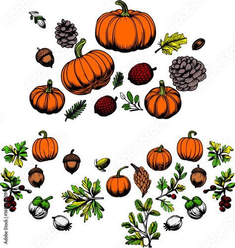 Autumn pumpkin and foliage vector collection featuring vibrant orange pumpkins, green leaves, acorns, pine cones, and seasonal berries in a hand-drawn style