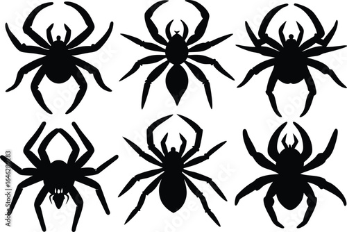Six Stylized Spiders Arranged in a Vector Design Featuring a Silhouette