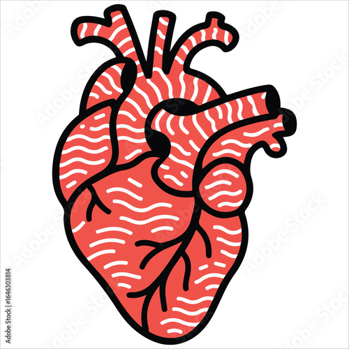 Anatomic heart design vector artwork for cardiac awareness