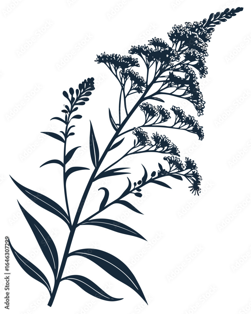 Naklejka premium Goldenrod Stem Silhouette Botanical Vector