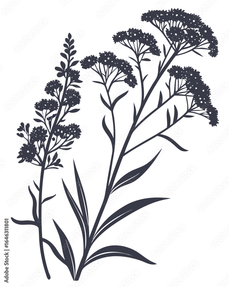Naklejka premium Minimalist Goldenrod Flower Silhouette Vector