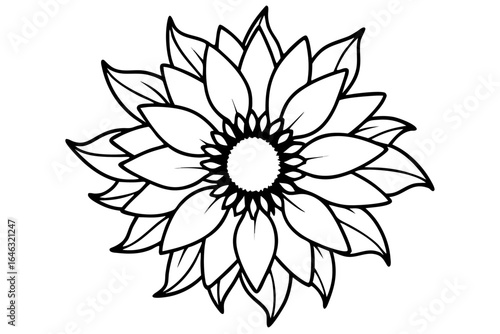 sunflower flowers line art vector illustration