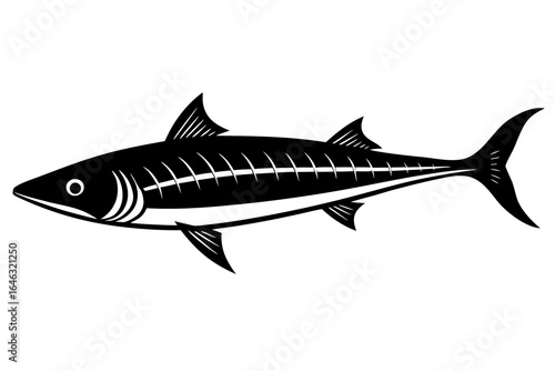 wahoo fish vector  illustration 