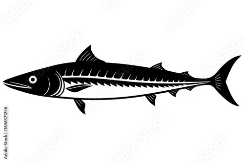 wahoo fish vector  illustration 