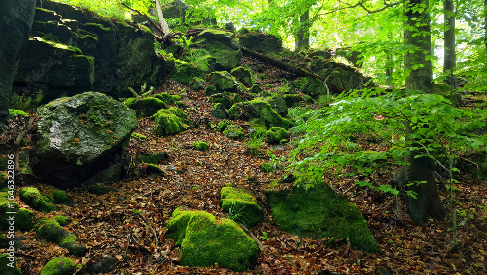 Fototapeta premium rocks in mountains covered with green moss