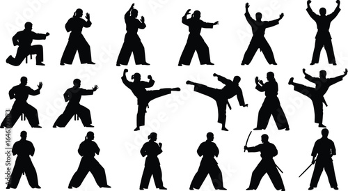 Martial arts silhouette set, dynamic kicking stances, sword poses, combat techniques, self-defense action, fighter collection, vector illustration