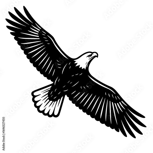 Majestic Eagle Soaring with Wings Spread Symbol of Freedom and Power