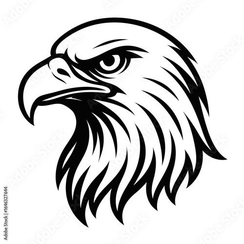 Noble Eagle Profile Powerful Bird of Prey Symbolizing Freedom and Vision