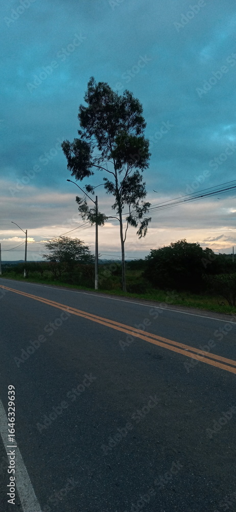 Fototapeta premium lugares