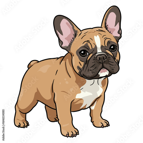 French Bulldog Illustration White Background